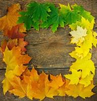 Autumn maple leaves falling frame photo