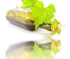 botella de vino y hojas foto