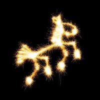 Horse made a sparkler photo