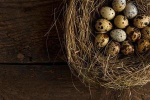 Fresh quail eggs in a nest on a wooden background photo