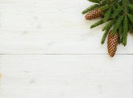 Christmas tree branches with cone on white wooden texture ready for your design photo