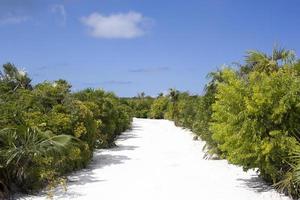 Half Moon Cay Island Only Road photo