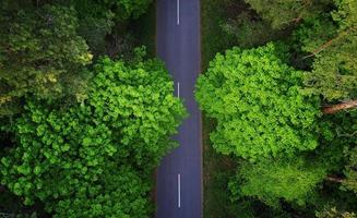 Road through the forest, aerial view photo