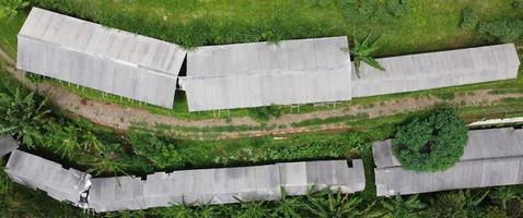 Drone photo of the view of the goat pen from above. Which is surrounded by many trees