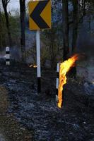 The Roadside Pillar pole is burning with flames and there is smoke rising from the fire caused by wildfire photo