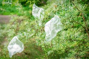 Plastic bags hanging on branch photo