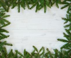 Christmas tree branches on white wooden texture ready for your design photo