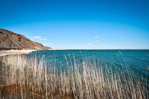 Ulungur Lake National Wetland Park photo