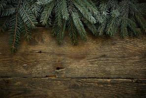 Christmas tree branches on wooden texture photo