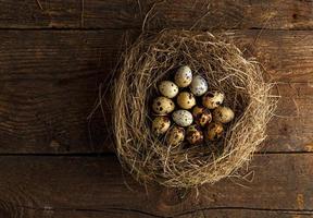 Quail eggs in a nest on a wooden rustic background photo