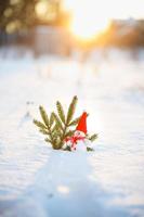 Happy snowman standing in winter christmas landscape.Snow background photo