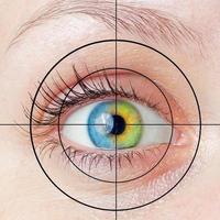 Human eye with target photo