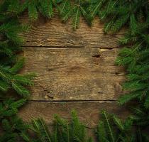 Christmas tree branches on wooden texture ready for your design photo