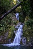 waterfall hiden in the forest photo