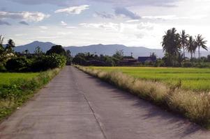 camino en el campo foto