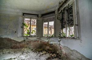 old overgrown room with windows photo