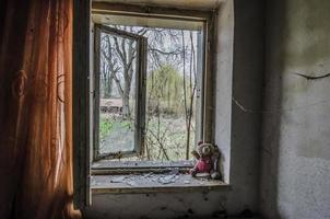 plush bear in old room photo