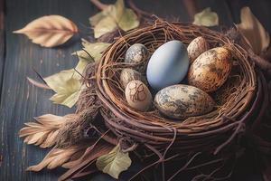 Easter eggs banner background. Feathers in a nest on a blue wooden background with a copy of the place for the text photo