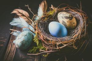 Easter eggs banner background. Feathers in a nest on a blue wooden background with a copy of the place for the text photo