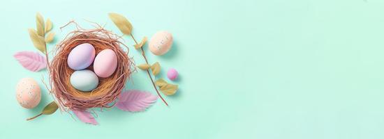 Easter poster and banner template with Easter eggs in the nest on pastel background with a copy of the place for the text. photo