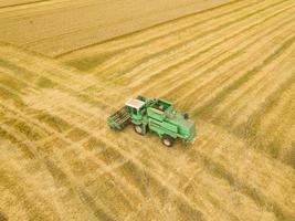 Top view combine harvester gathers the wheat at sunset. Harvesting grain field, crop season photo