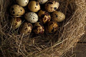 Quail eggs in a nest on a wooden rustic background photo