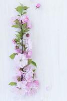 Flowers close-up on white wooden background photo