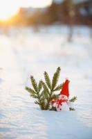 Happy snowman standing in winter christmas landscape.Snow background photo