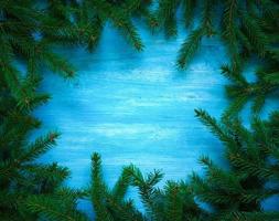 Christmas tree branches on blue wooden texture ready for your design photo