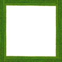 Green grass frame photo