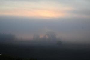 vistoso niebla durante amanecer foto