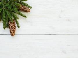 Christmas tree branches with cone on white wooden texture ready for your design photo