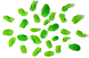 Mint leaves isolated on white background, Herbs and Spices photo