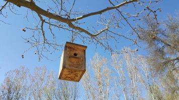 pajarera para aves hecho por hombre, colgando en un árbol. foto