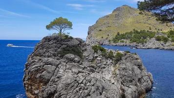 allí es un Roca isla en el agua. un árbol crece en él. azul cielo. foto