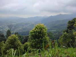 landscape photo of green hills.