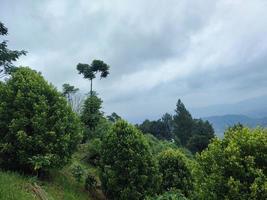 landscape photo of green hills.