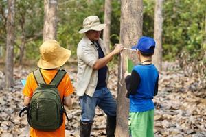 Asian man teacher is teaching botanical plants with students. Outdoor classroom. Summer camp activity. Concept, Learning by doing. Active learning.Real life experience. Nature survey. photo