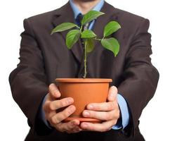 Businessman is holding a plant in pot photo