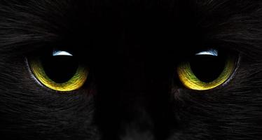 amarillo verde ojos de un negro gato de cerca foto