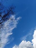 azul cielo con nubes y árbol foto