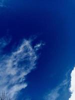 azul cielo con nubes y árbol foto