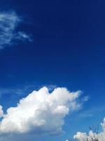 blue sky with clouds and tree photo