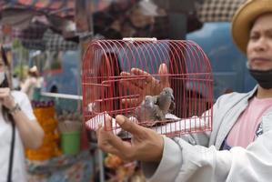 BANGKOK, THAILAND - February 6, 2023- Man let the bird out of the cage for liberation to freedom at Ratchaprasong intersection Bangkok photo