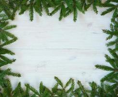 Christmas tree branches on white wooden texture ready for your design photo