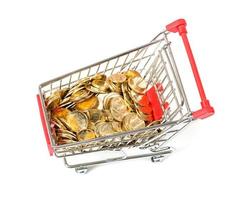 Shopping Cart with money photo