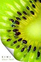Kiwi fruit banner photo