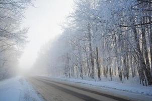Road at the winter landscape in the forest photo