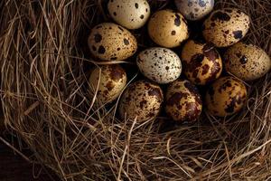 Fresh quail eggs in a nest on a wooden background photo