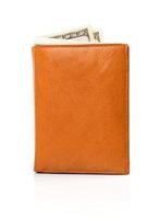 Banknotes dollars in leather brown purse photo